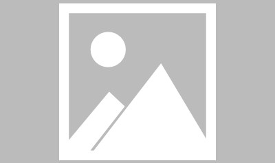 开云网站-【早报】一到提“忠诚”，人们就会想起乌姆蒂蒂...